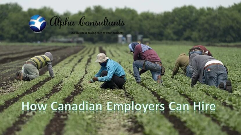 Canadian employers can hire immigrants permanently