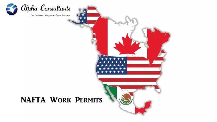 Are NAFTA work permits at risk?
