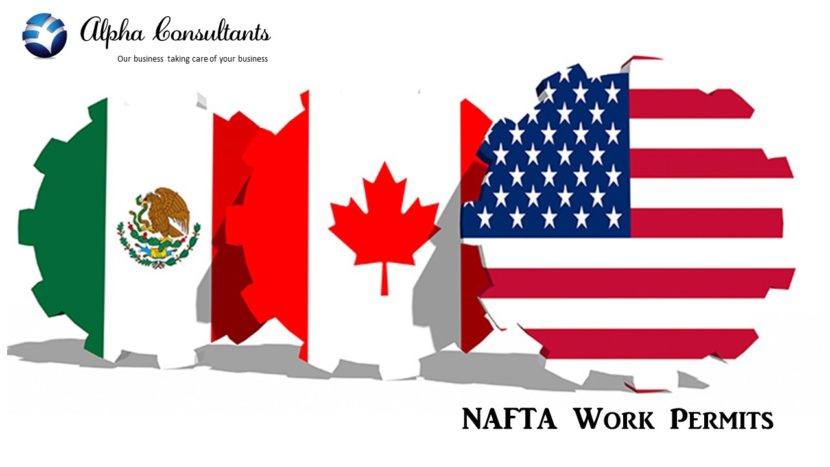 NAFTA work visa provisions in place