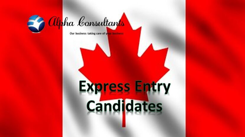 Nearly 80% of Express Entry candidates fall under FSWP