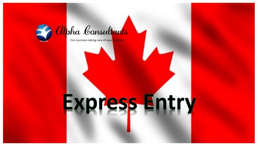 Can a Candidate has more than one Express Entry profile?