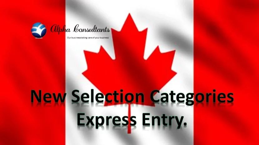 New Selection Categories